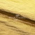 Текстильный материал "Диско"#1805 с покрытием РЕТ, 40гр/м2, 100% полиэстер, цв.5-золото - купить в Кисловодске. Цена 416.57 руб.
