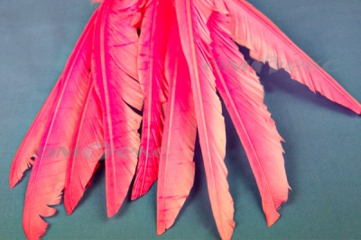 Декоративный Пучок из перьев, перо 25см/розовый - купить в Кисловодске. Цена: 14.40 руб.