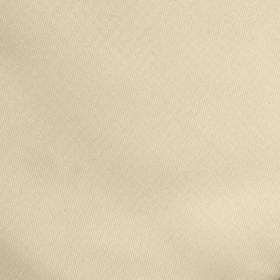 Ткань подкладочная Таффета 14-1014, антист., 53 гр/м2, шир.150см, цвет бежевый - купить в Кисловодске. Цена 62.37 руб.