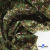 Ткань костюмная «Микровельвет велюровый принт», 220 г/м2, 97% полиэстр, 3% спандекс, ш. 150См Цв  #9 - купить в Кисловодске. Цена 439.76 руб.