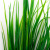 Трава искусственная -2, шт (осока 41см/8 см)				 - купить в Кисловодске. Цена: 104.57 руб.