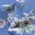 Плательная ткань "Фламенко" 12.1, 80 гр/м2, шир.150 см, принт растительный - купить в Кисловодске. Цена 241.49 руб.
