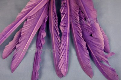 Декоративный Пучок из перьев, перо 25см/фиолетовый - купить в Кисловодске. Цена: 12.19 руб.