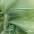 Ткань органза, 100% полиэстр, 28г/м2, шир. 150 см, цв. #27 зеленый - купить в Кисловодске. Цена 86.24 руб.