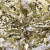 Трикотажное полотно, Сетка с пайетками, шир.130 см, #315, цв.-белый/золото - купить в Кисловодске. Цена 693.39 руб.
