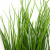 Трава искусственная -4, шт  (осока 50 см/8 см  7 листов)				 - купить в Кисловодске. Цена: 130.73 руб.
